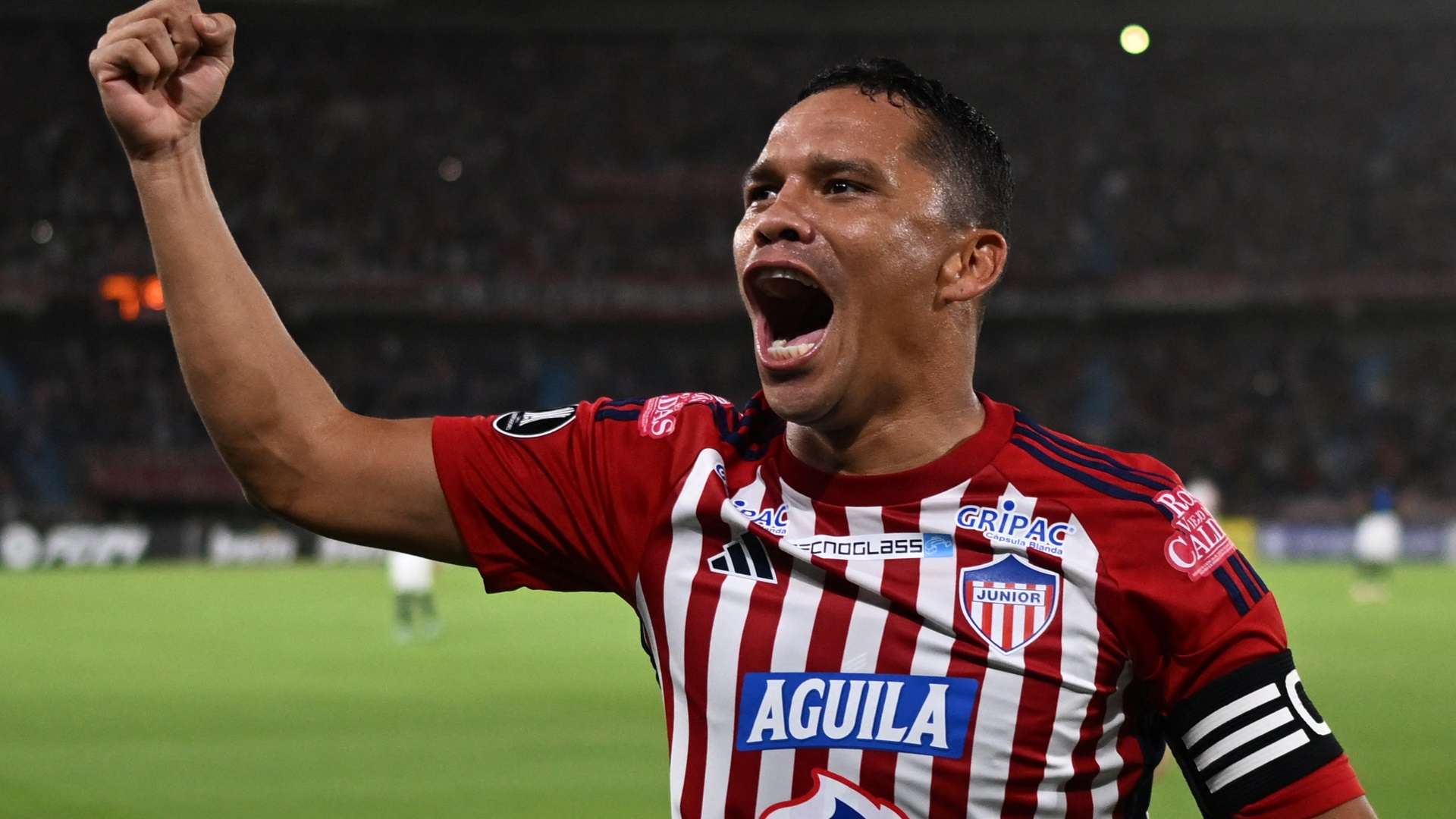 Carlos Bacca, Junior Barranquilla 2024