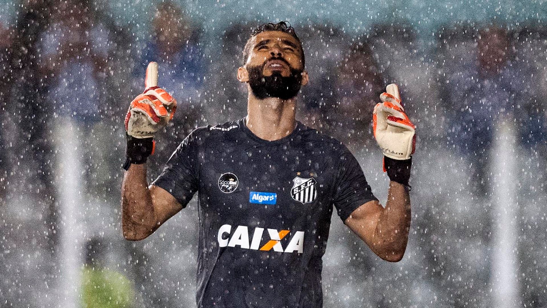Vanderlei Santos Botafogo-SP 21032018 Paulista