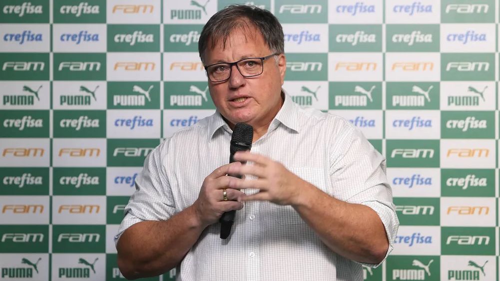 Anderson Barros Palmeiras