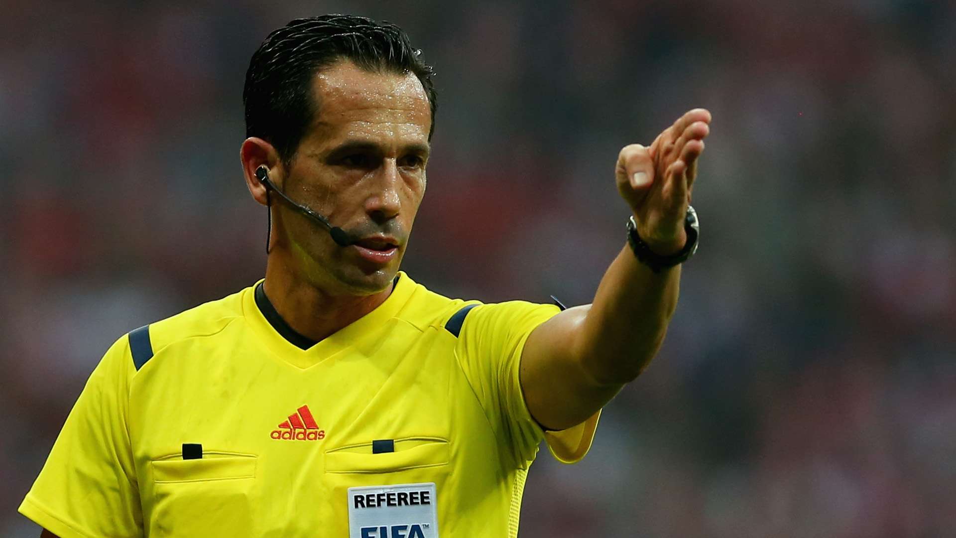 pedro proenca portugal schiedsrichter 101114