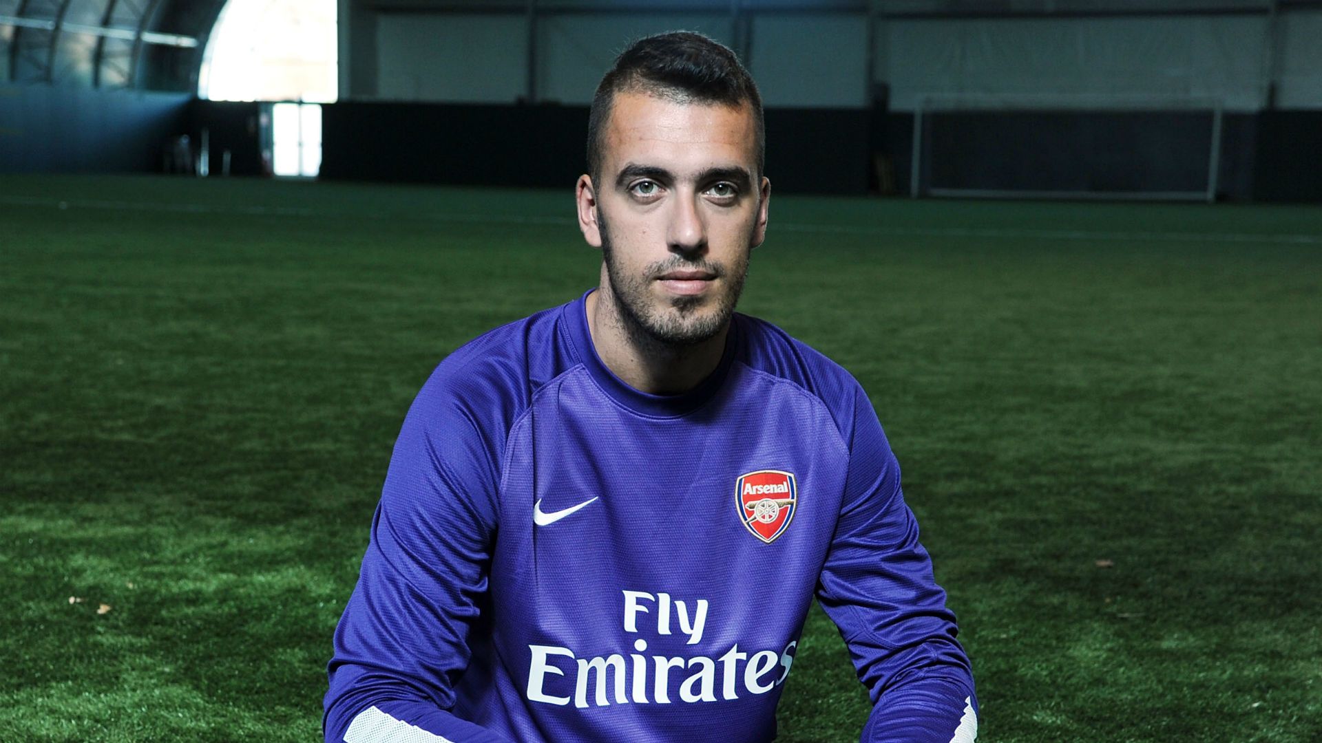 Viviano Arsenal