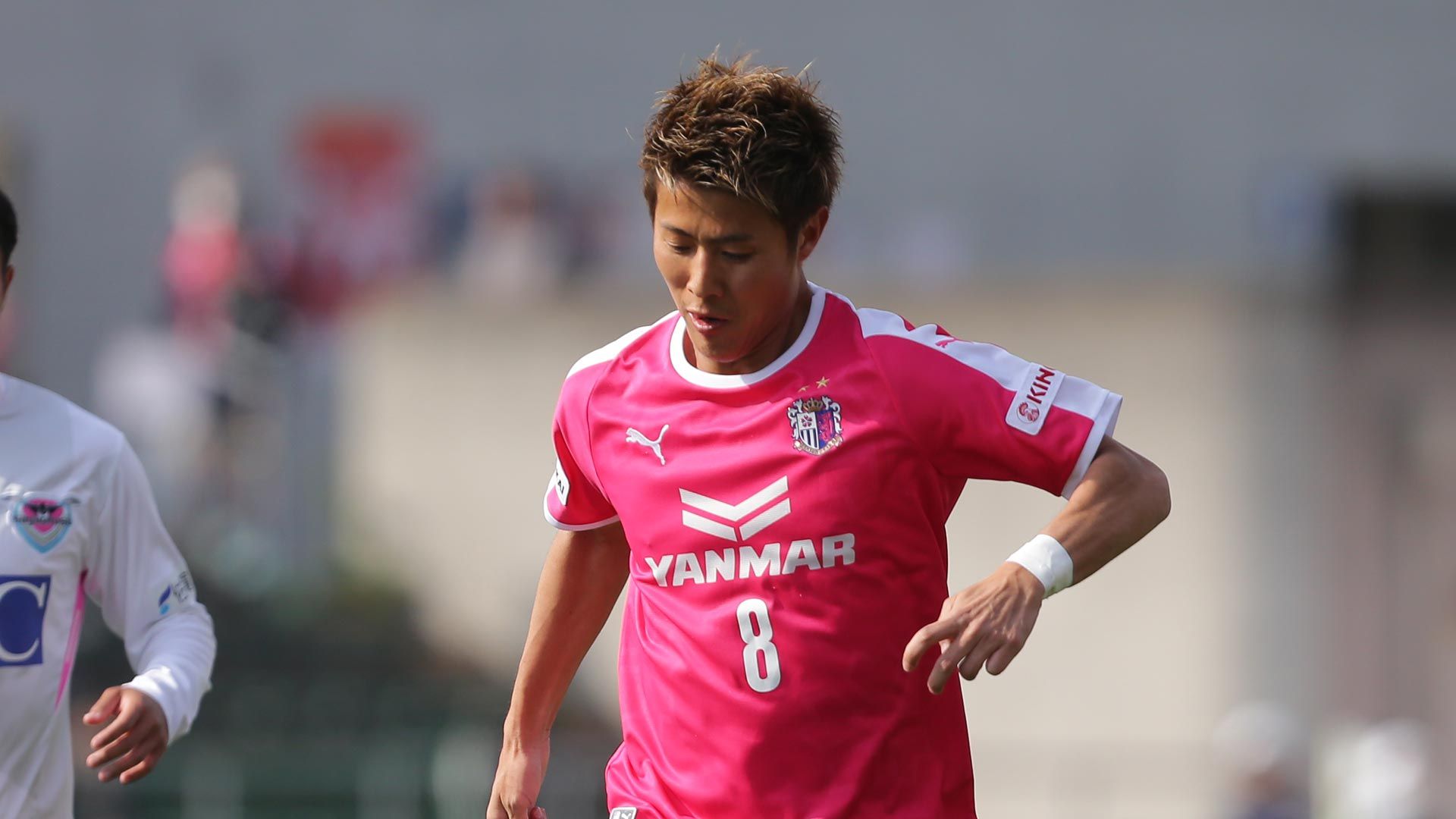 2018-04-07-cerezo-Kakitani_Yoichiro