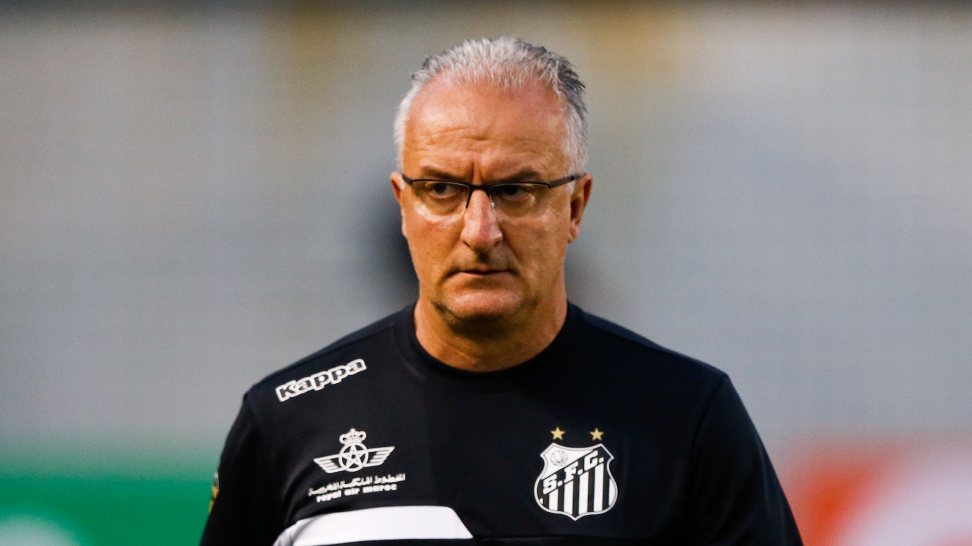 Dorival Junior Santos Vitória Brasileirão 17112016