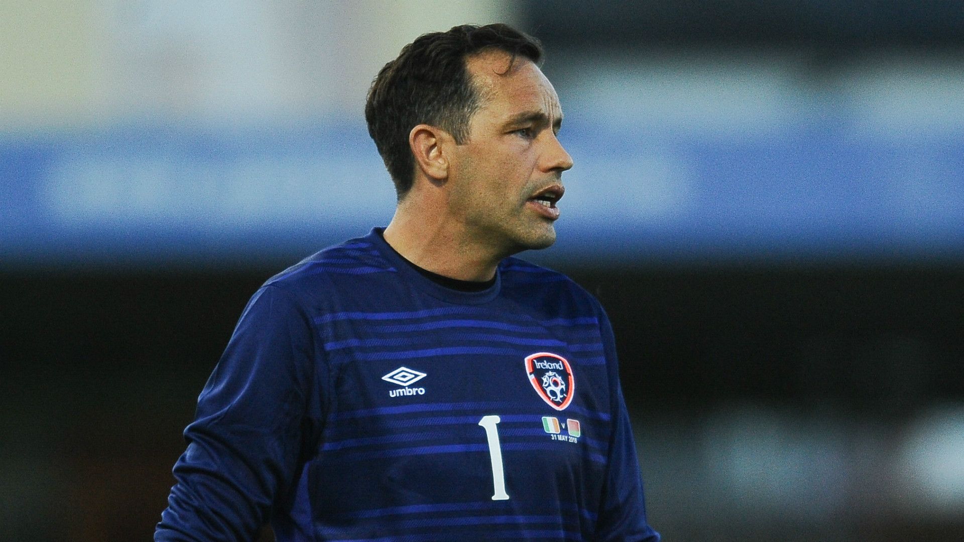 David Forde Republic of Ireland 31052016