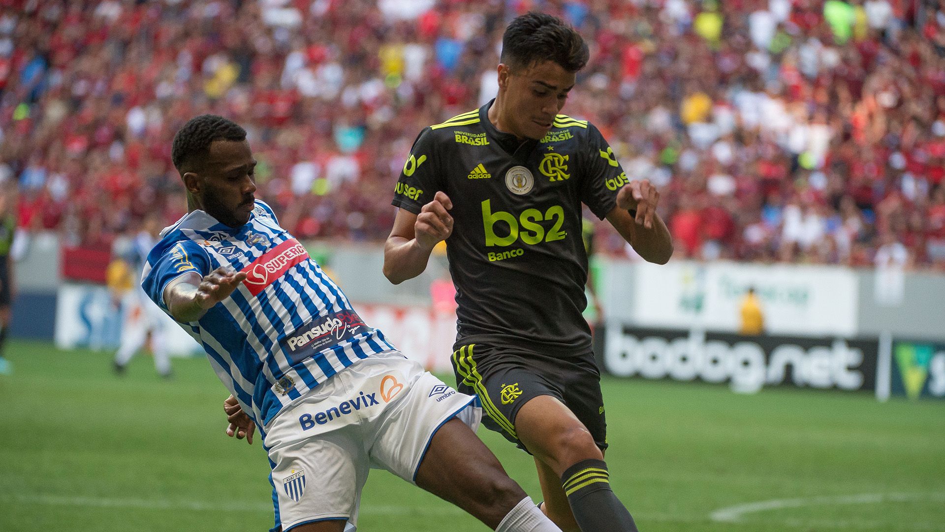 Reinier Jesus Gabigol Avaí Flamengo Brasileirão Série A 07092019