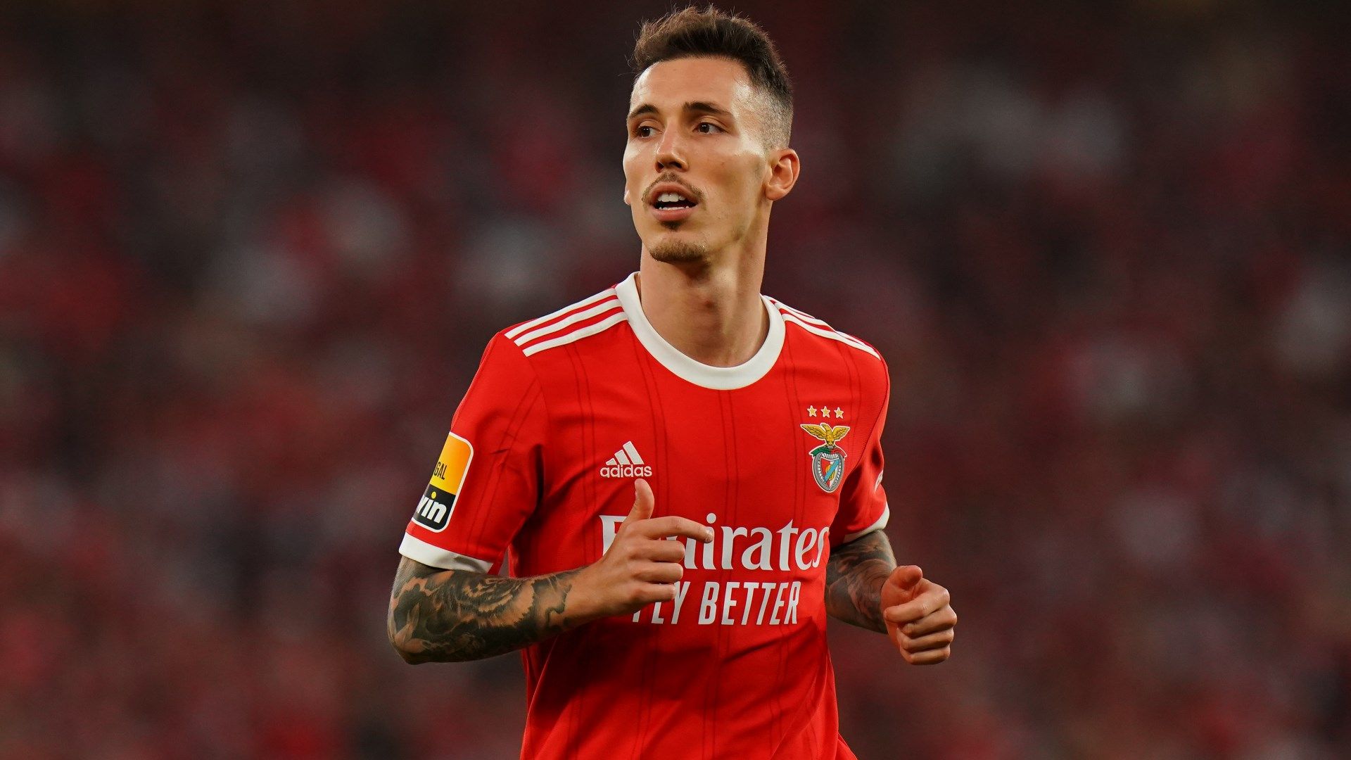 Grimaldo Benfica