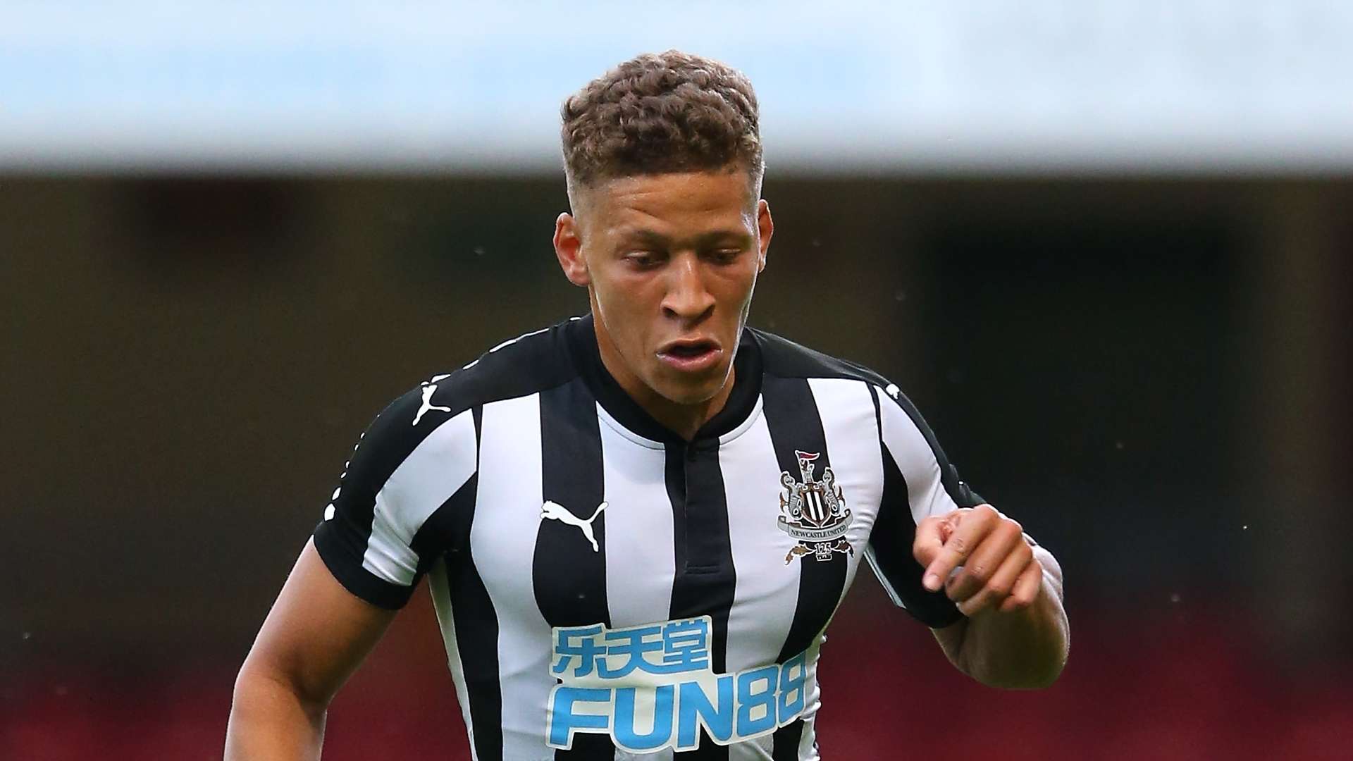 Dwight Gayle, Newcastle