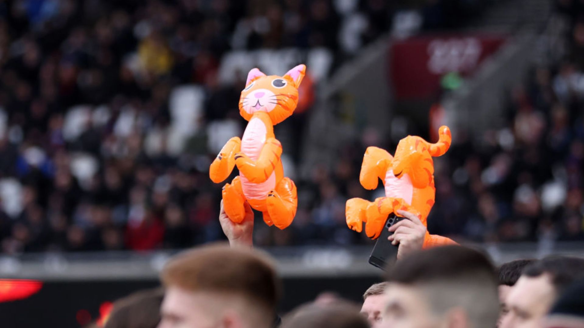 Inflatable Cat West Ham, Newcastle