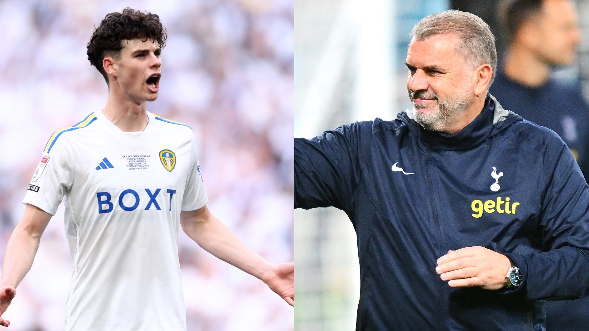 Archie Gray Ange Postecoglou