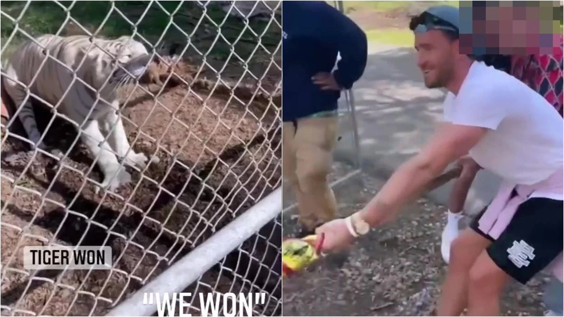 Ben Chilwell VS Tiger