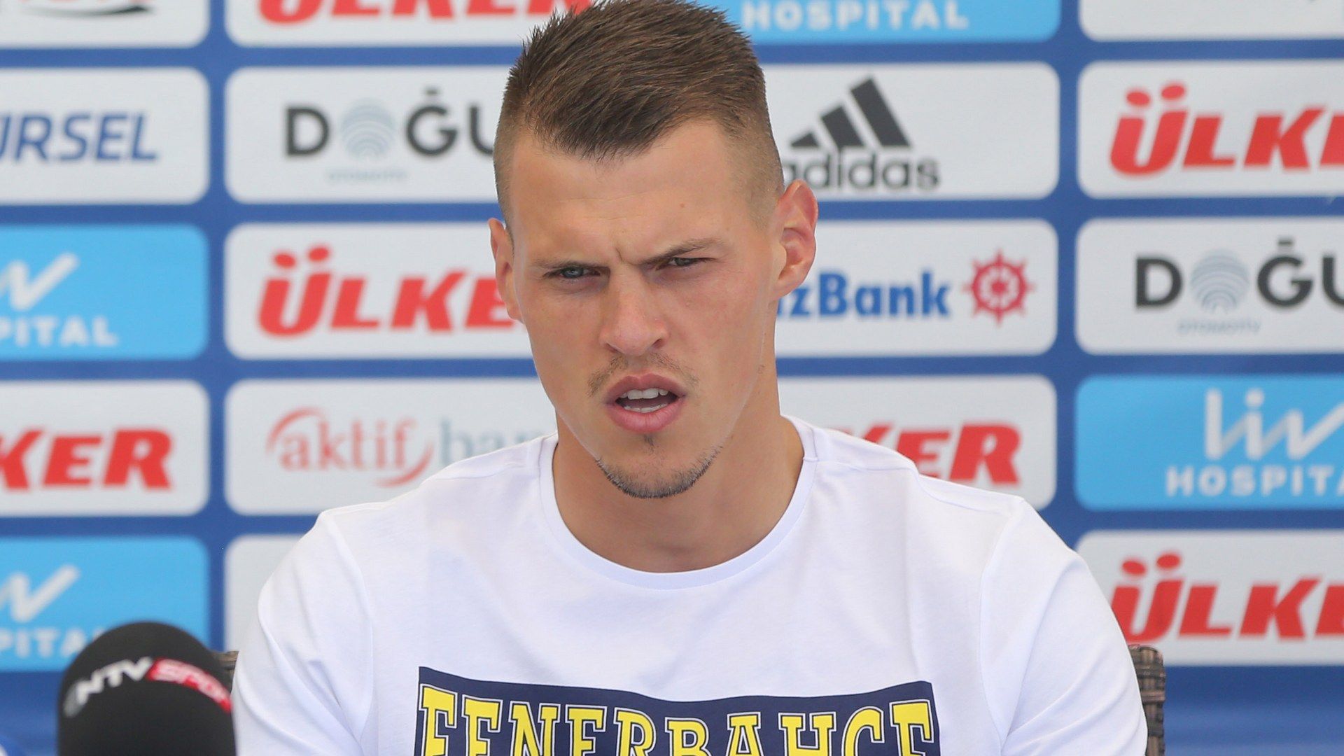 Martin Skrtel Fenerbahce
