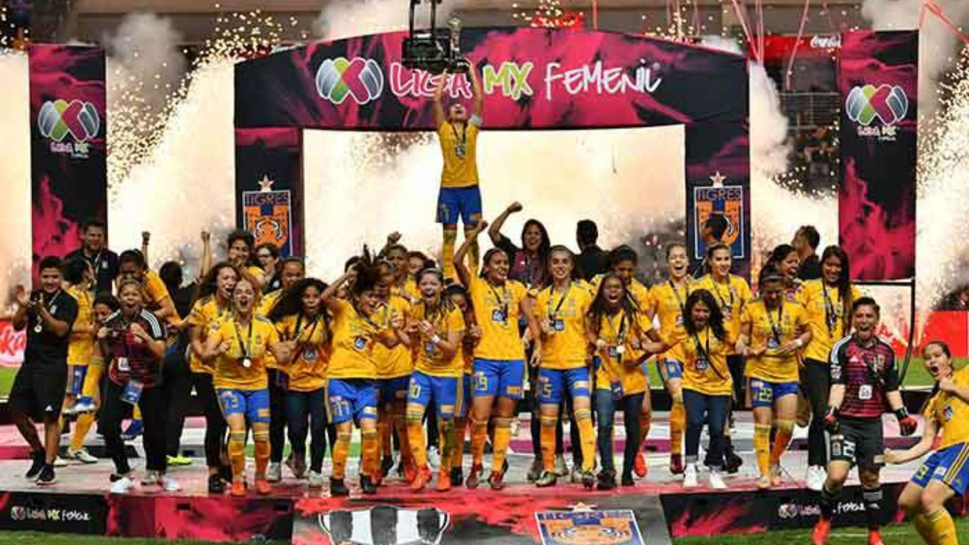 Tigres femenil