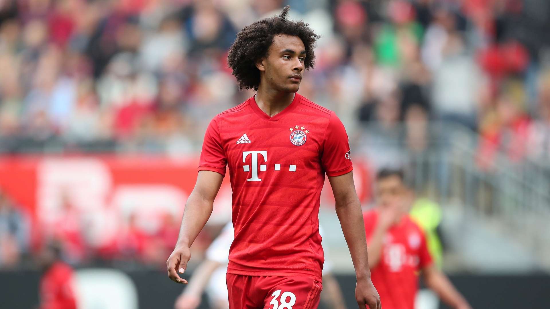 Joshua Zirkzee - Bayern Munich