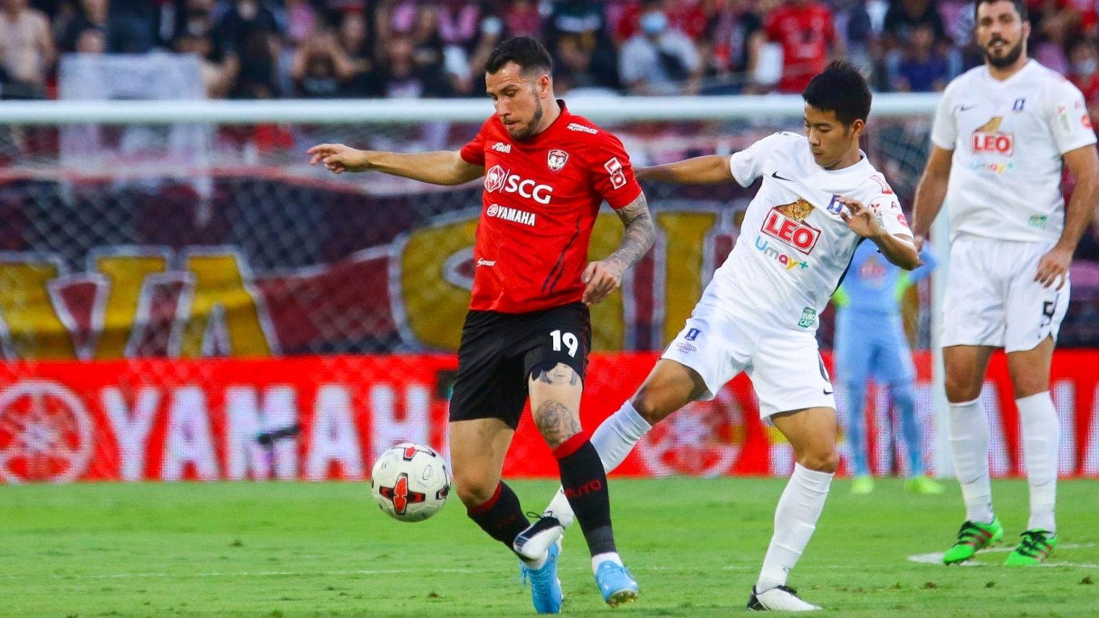 เมืองทอง - บีจี