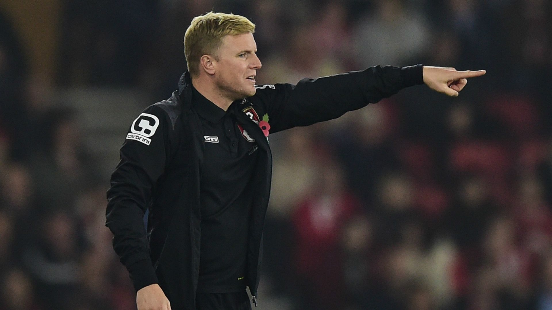 Eddie Howe Bournemouth 01112015