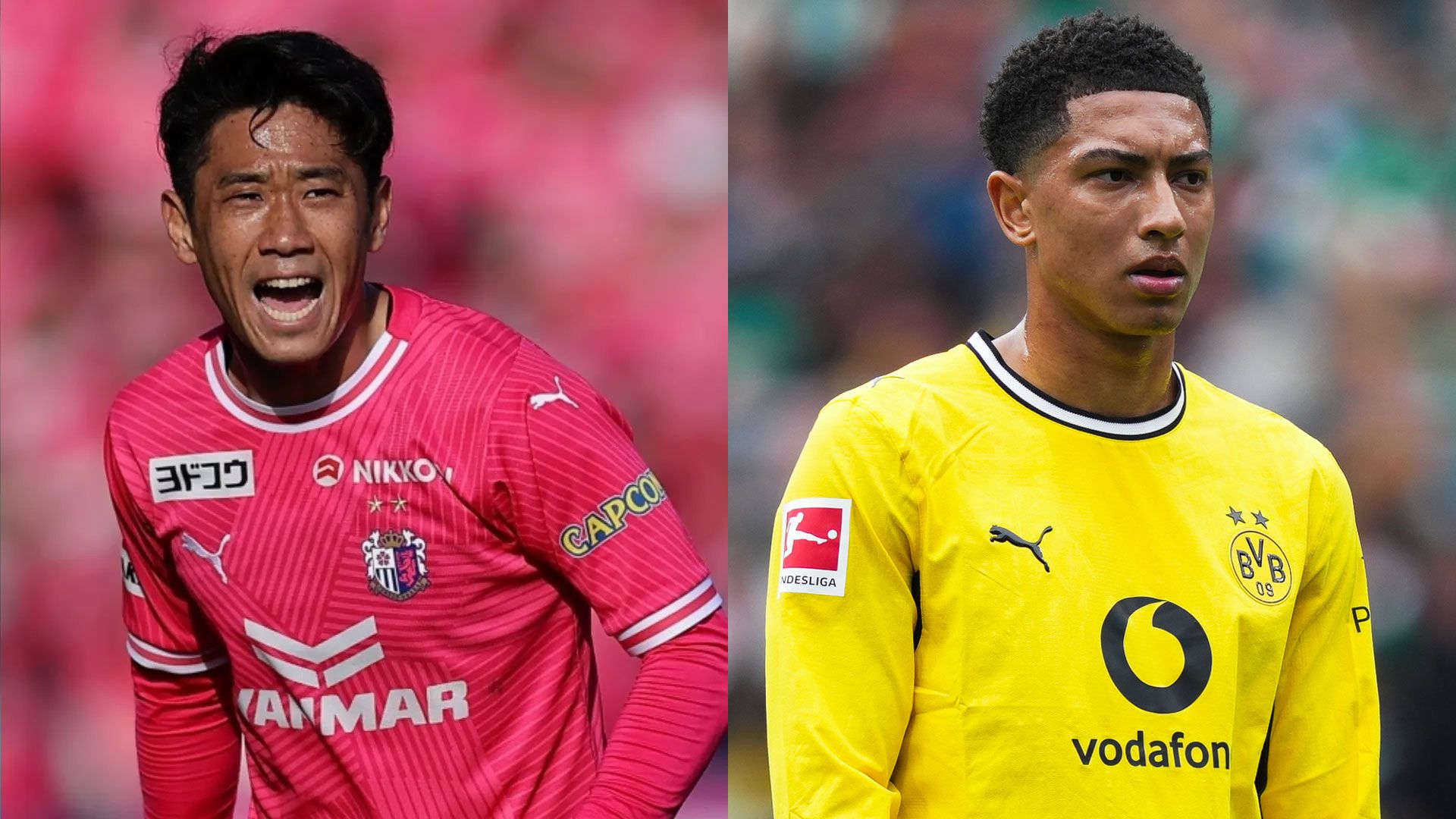 kagawa jobe bellingham