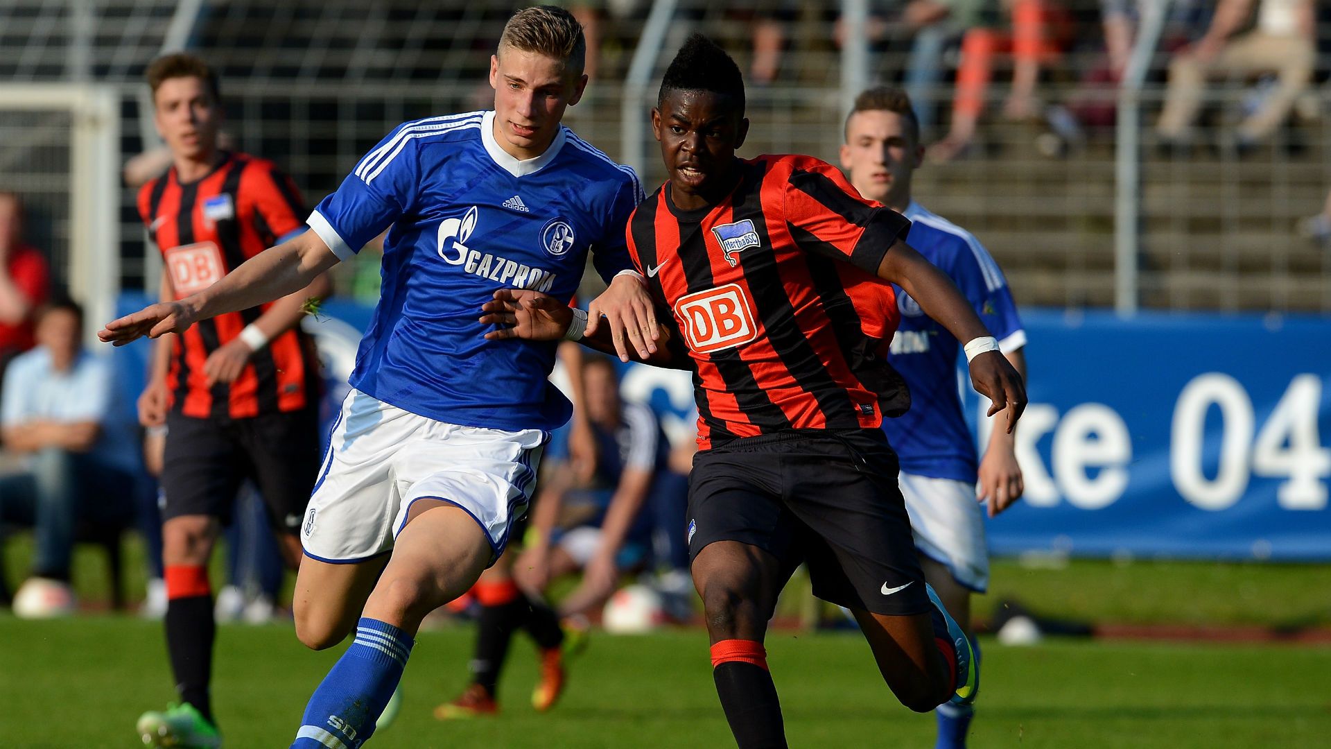 Schalke U17 2013 Platte