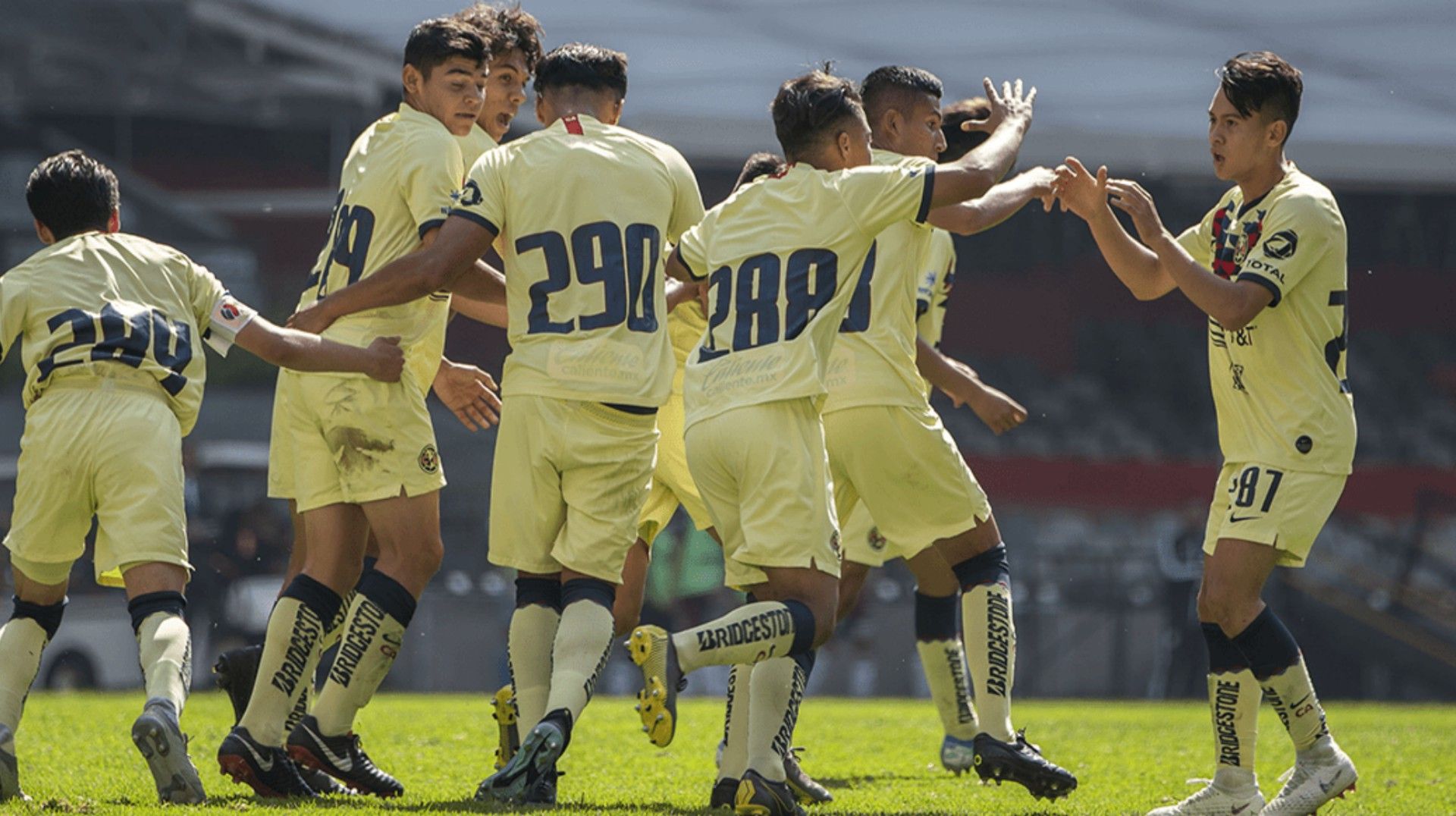 América Fuerzas Básicas
