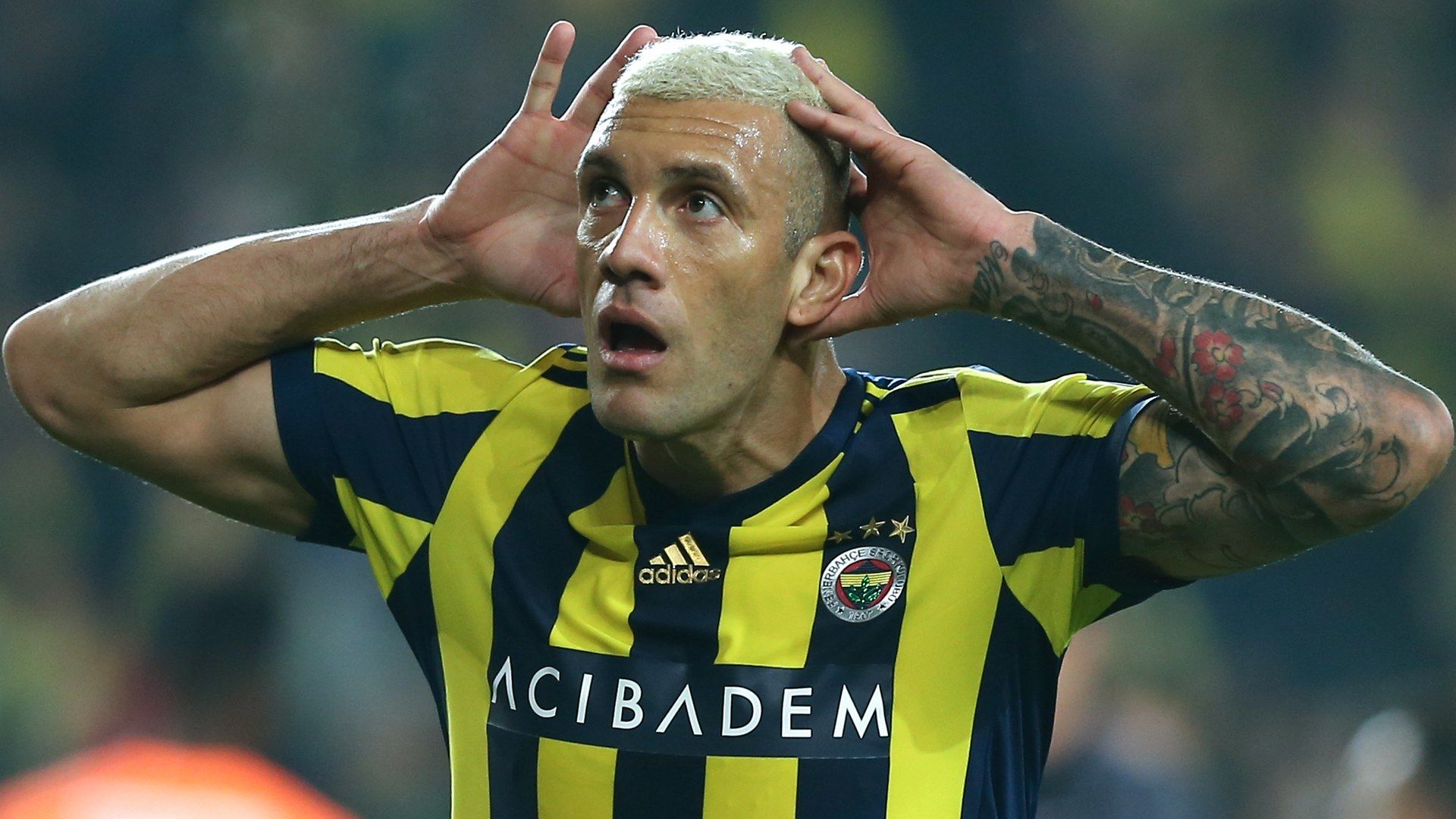 Fernandao Fenerbahce