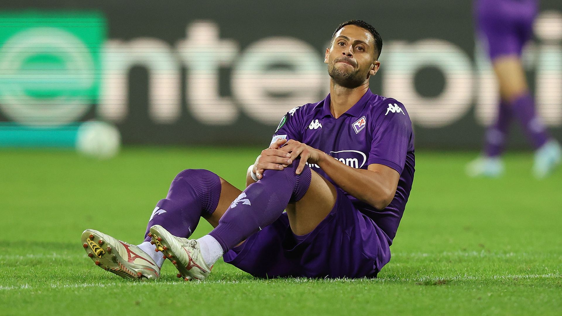 Mandragora Fiorentina