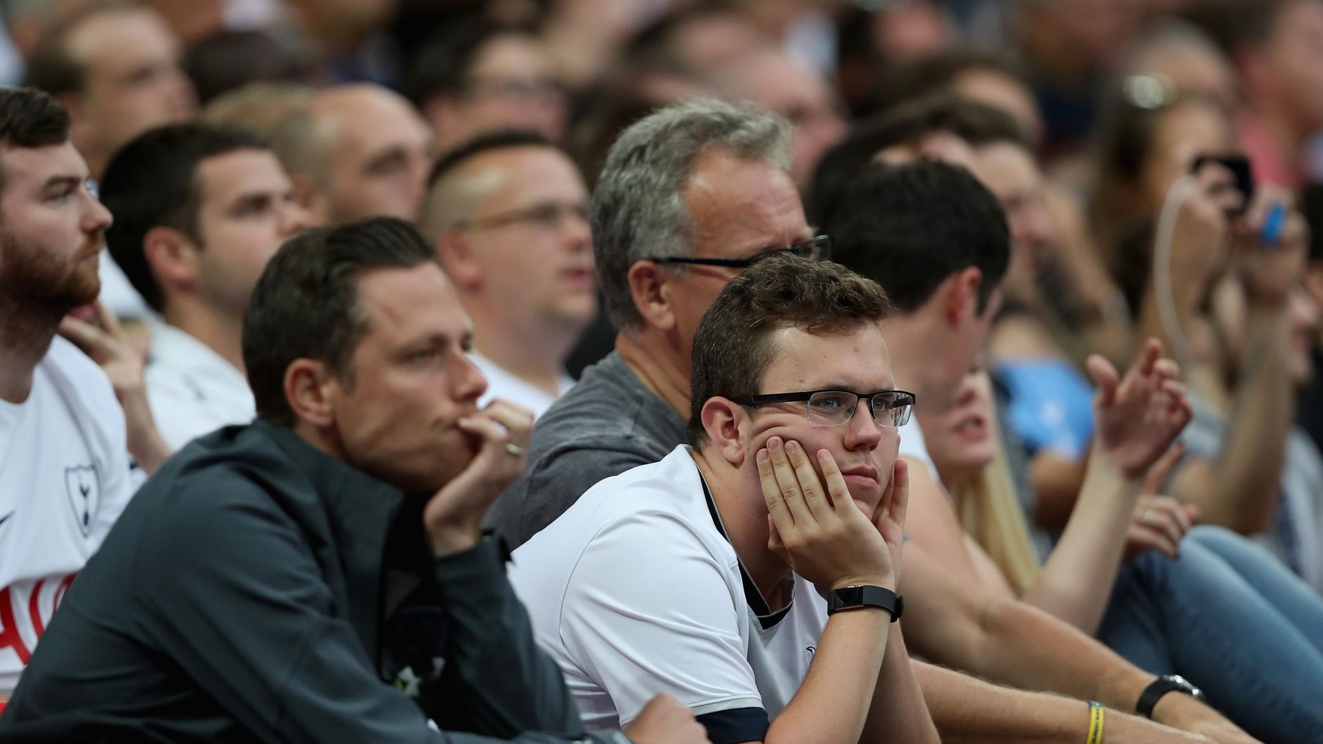 Tottenham Fans 20082017