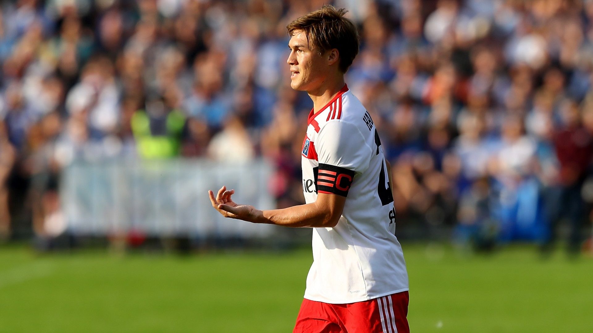 2017-08-17 Sakai Gotoku HSV