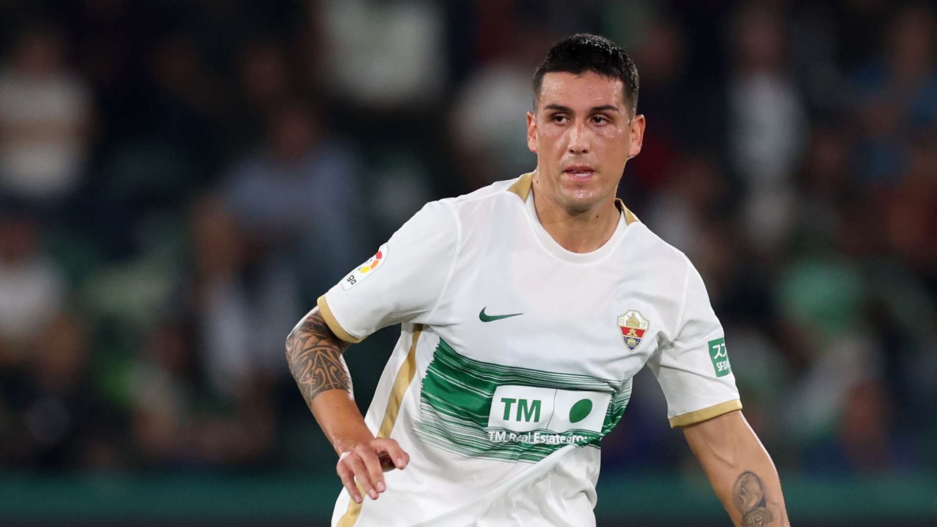 Enzo Roco Elche