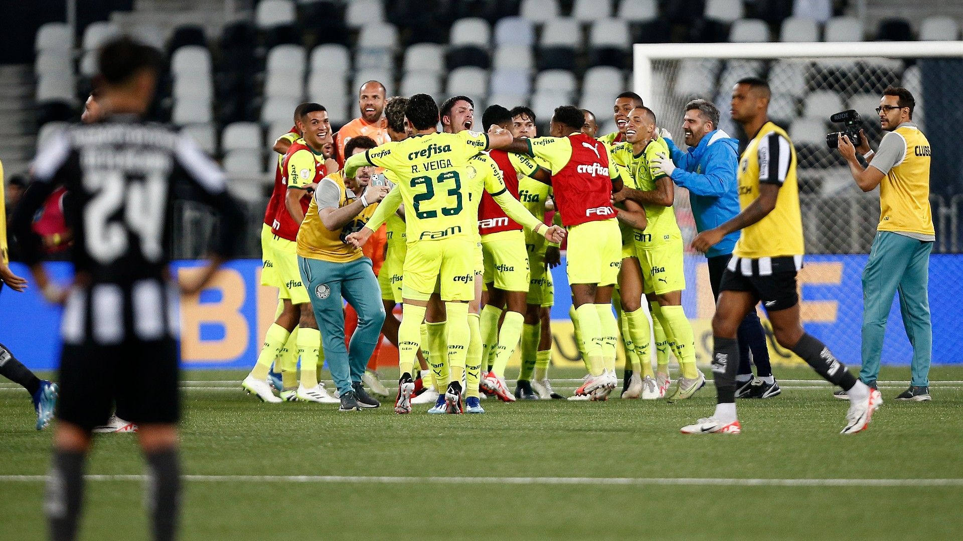 Botafogo vs Palmeiras 2023-24