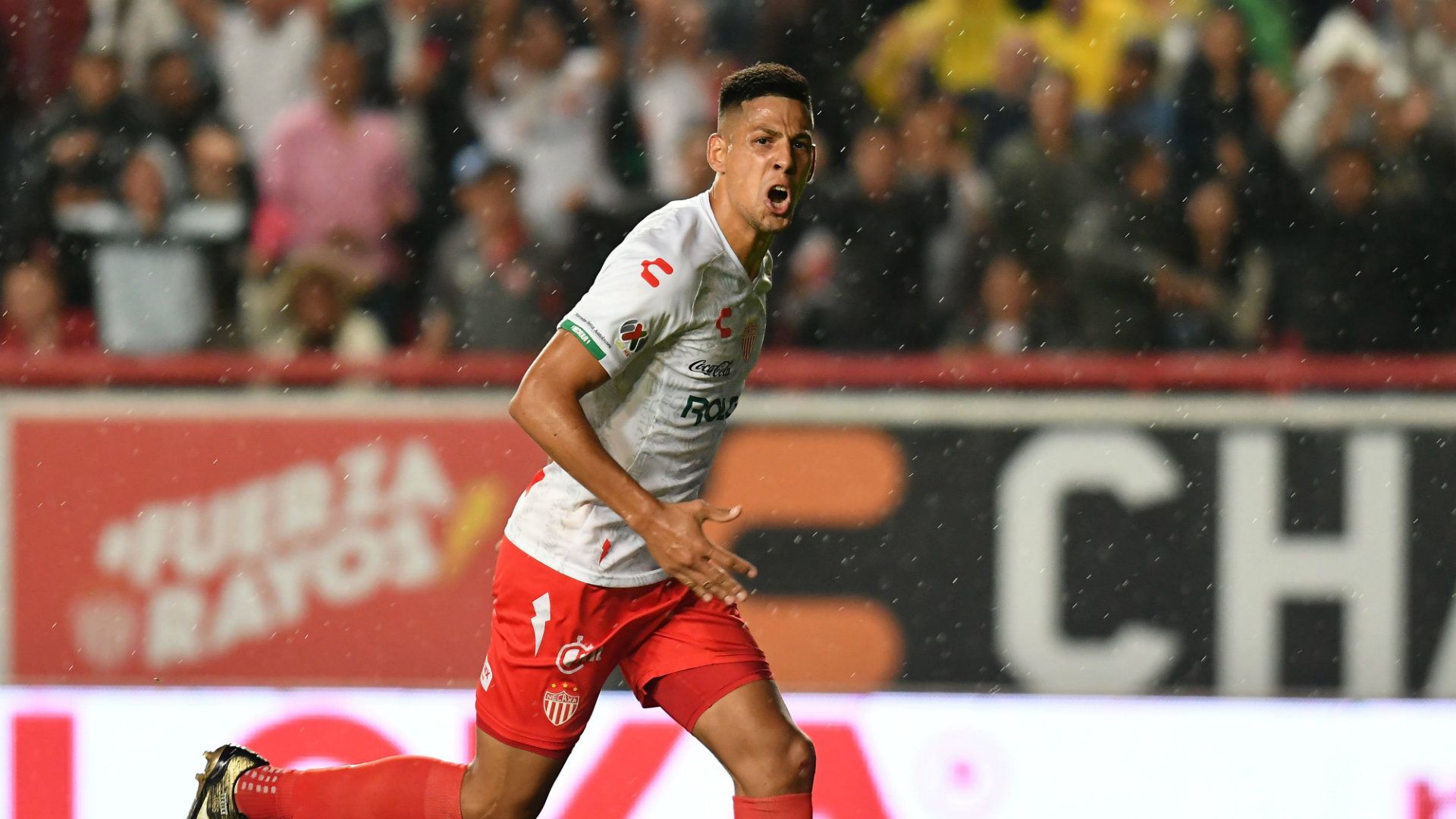 Mauro Quiroga Necaxa Apertura 2019