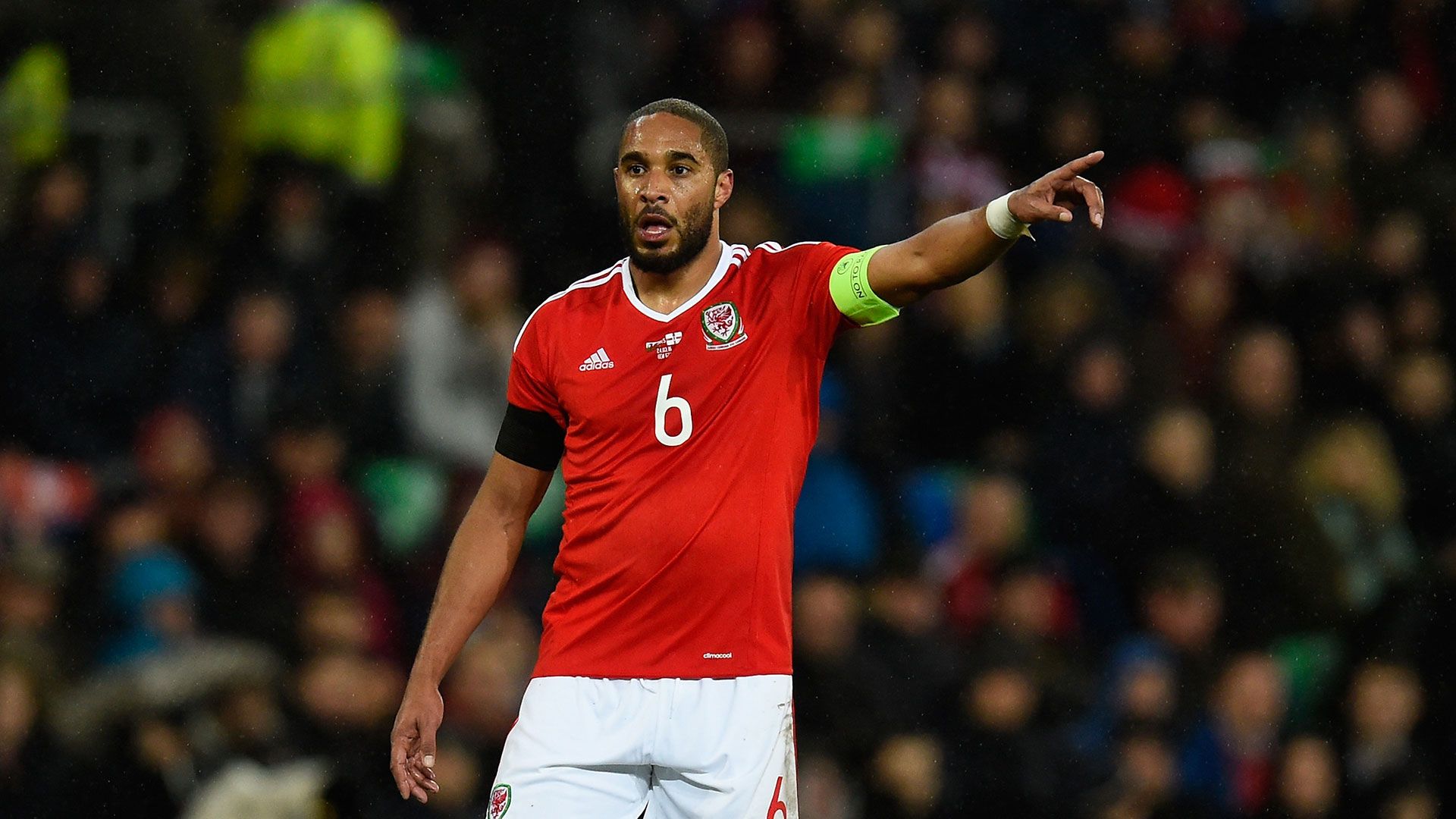 Ashley Williams Wales