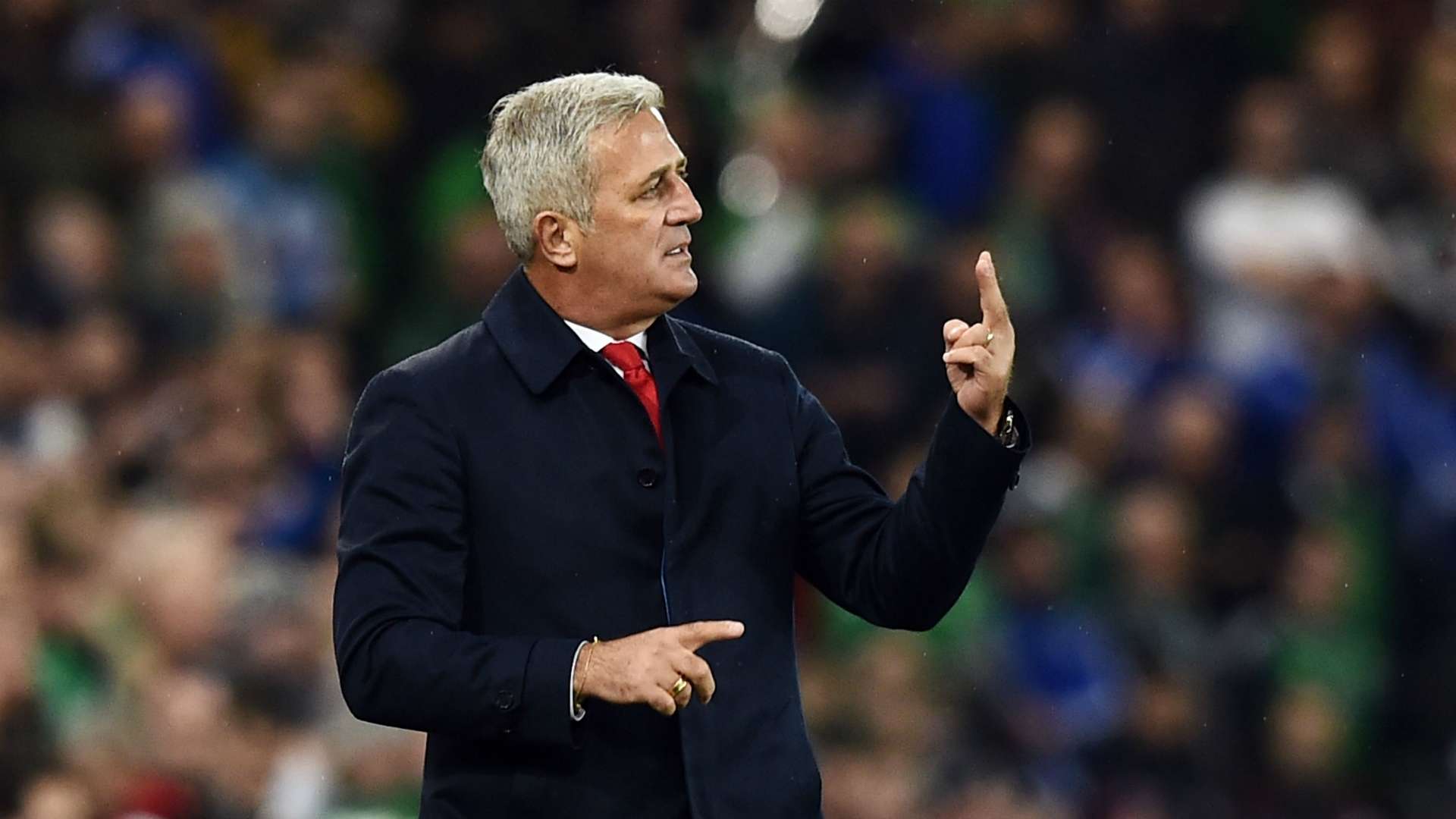 Vladimir Petkovic Switzerland