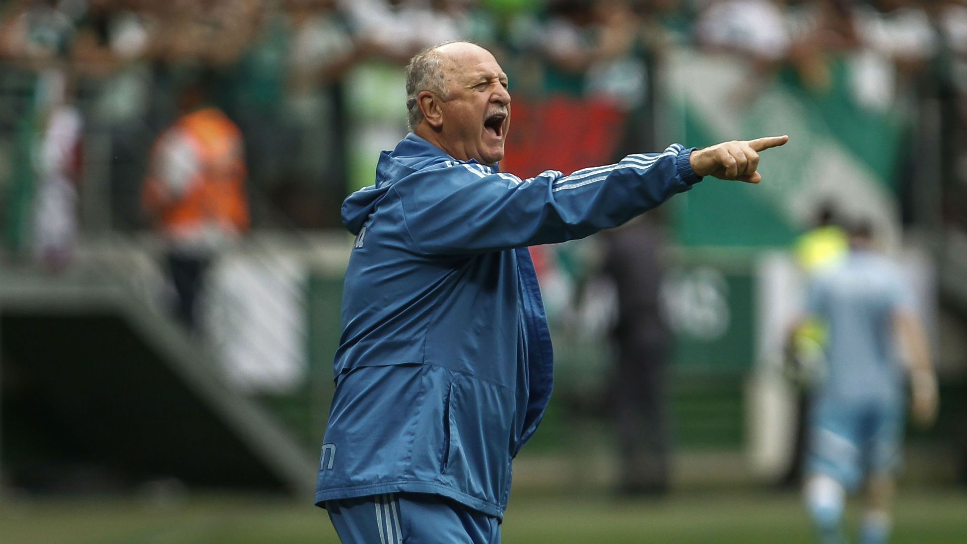 scolari-cropped