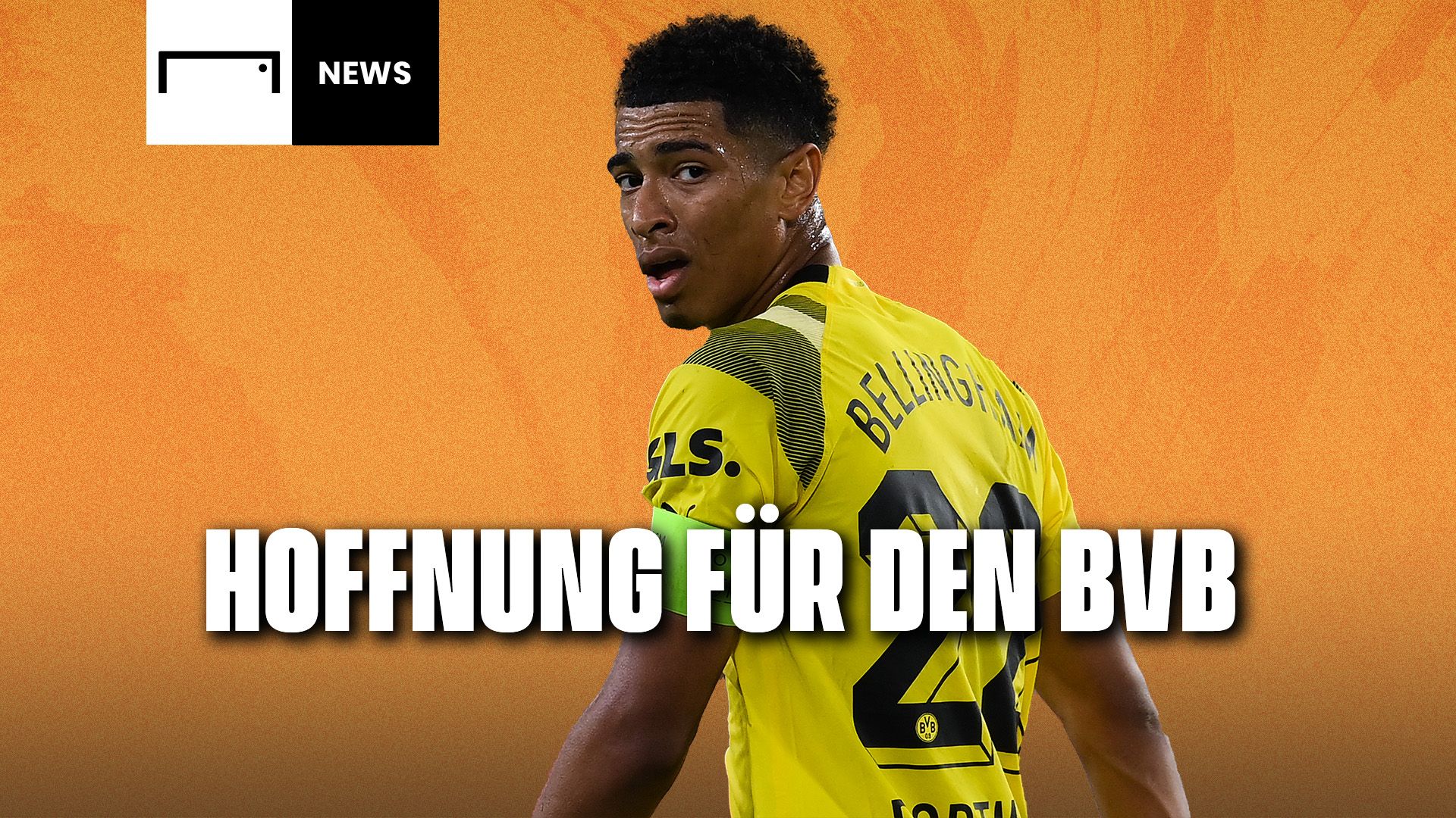 GOAL News Bellingham