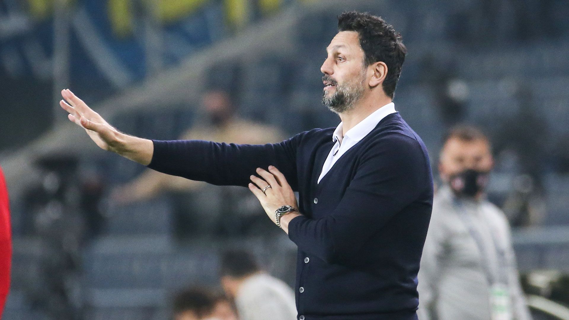 Erol Bulut Fenerbahçe 11292020