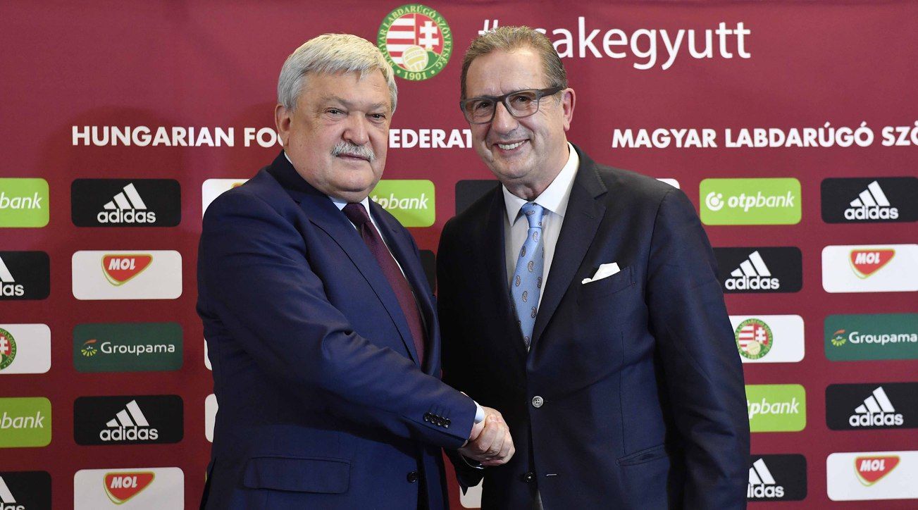George Leekens Csányi Sándor magyar válogatott Hungary
