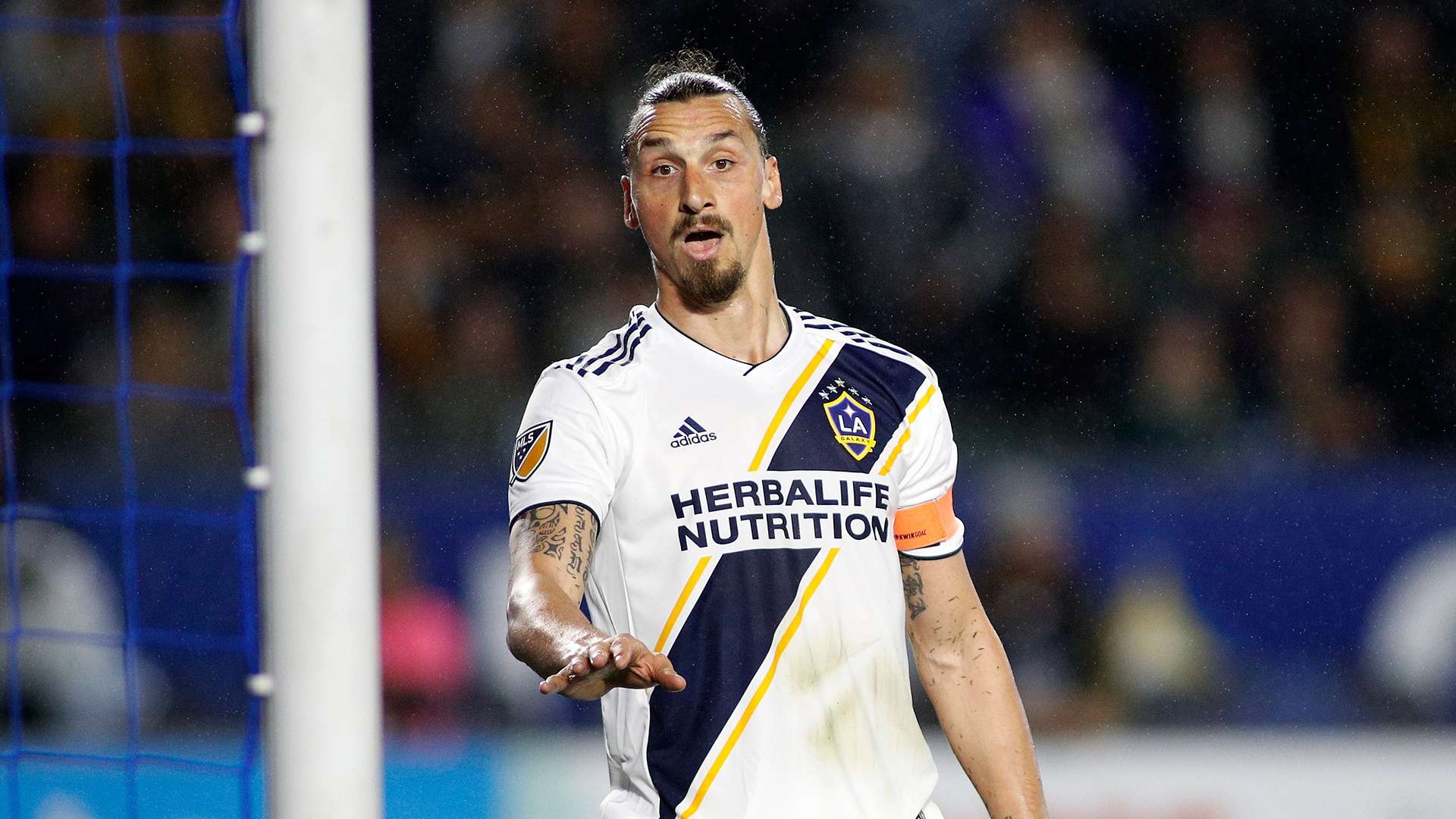 2019_9_26_Zlatan