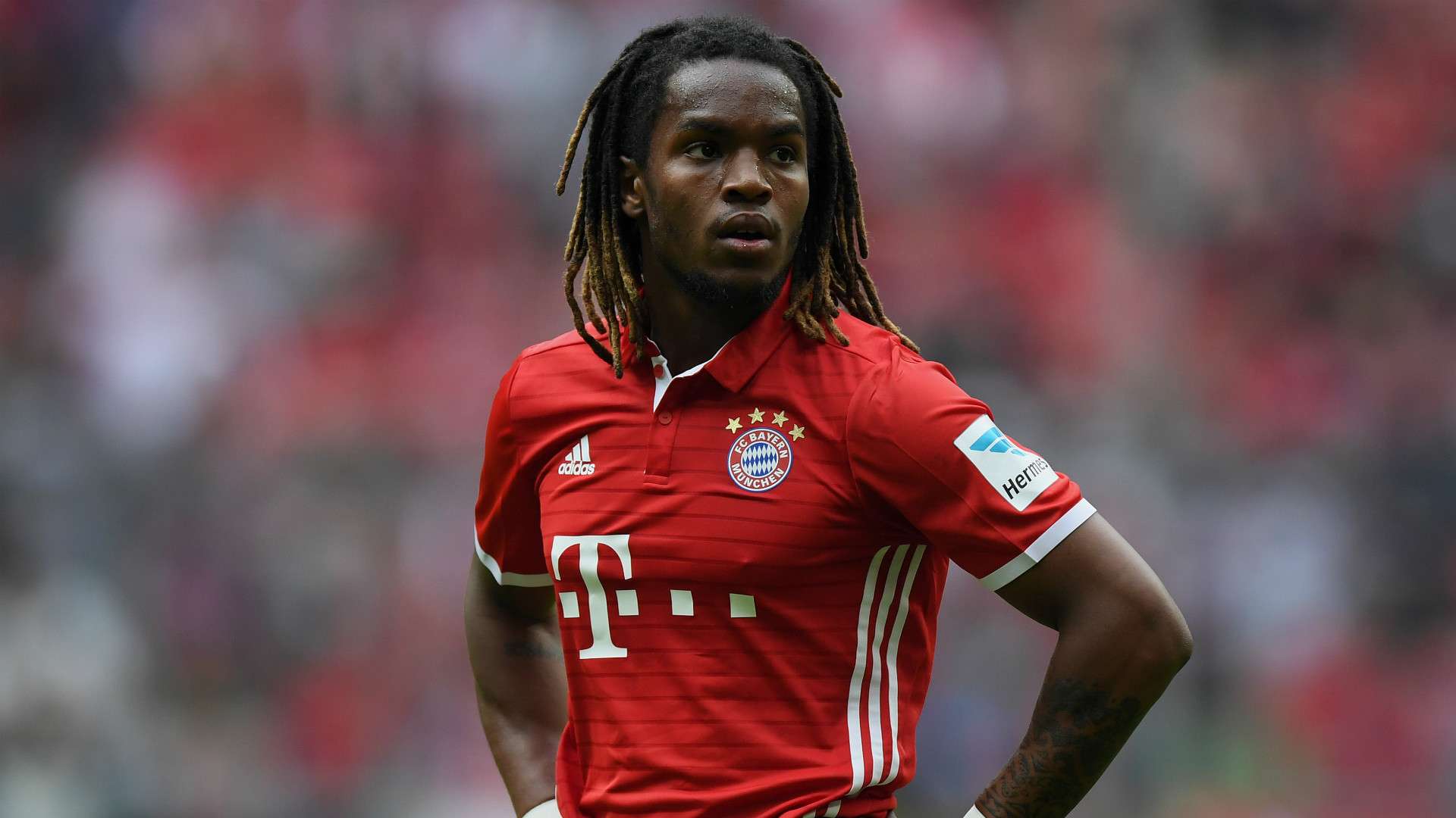 renato sanches - cropped