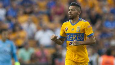 tigres aquino lobos