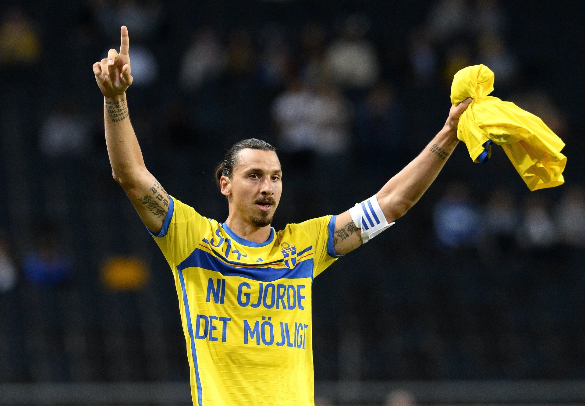 Zlatan Ibrahimovic Sweden