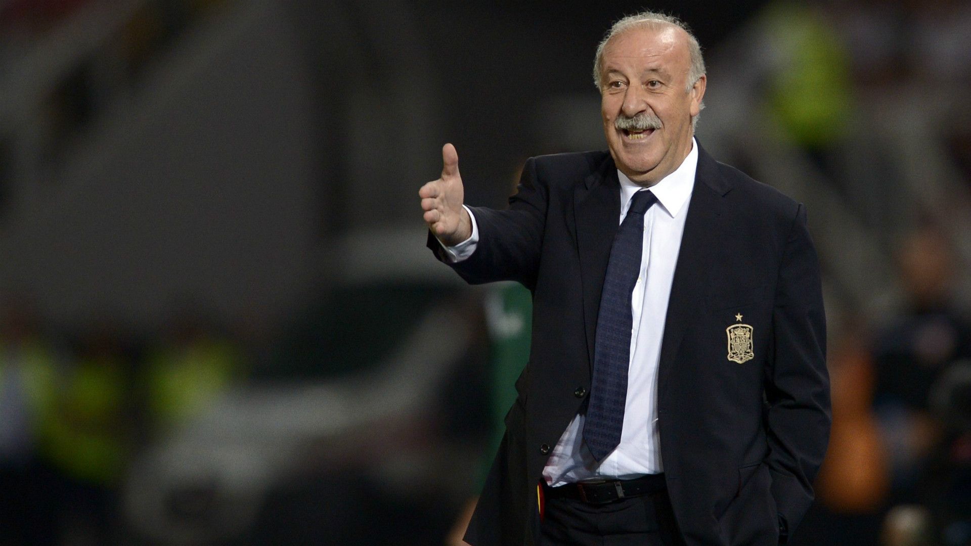 Vicente del Bosque Macedonia Spain Euro Qualifier