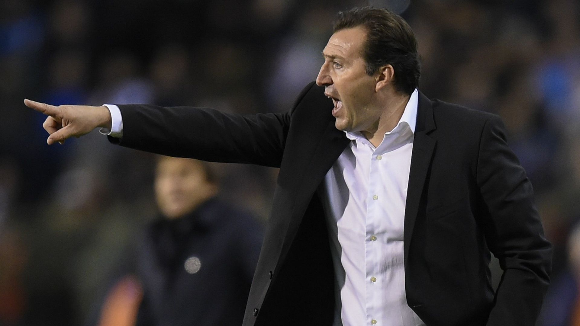 Marc Wilmots Belgium