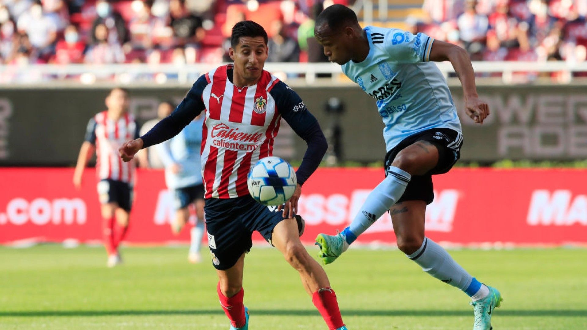 Carlos Cisneros Luis Quiñones Chivas Tigres Clausura 2022