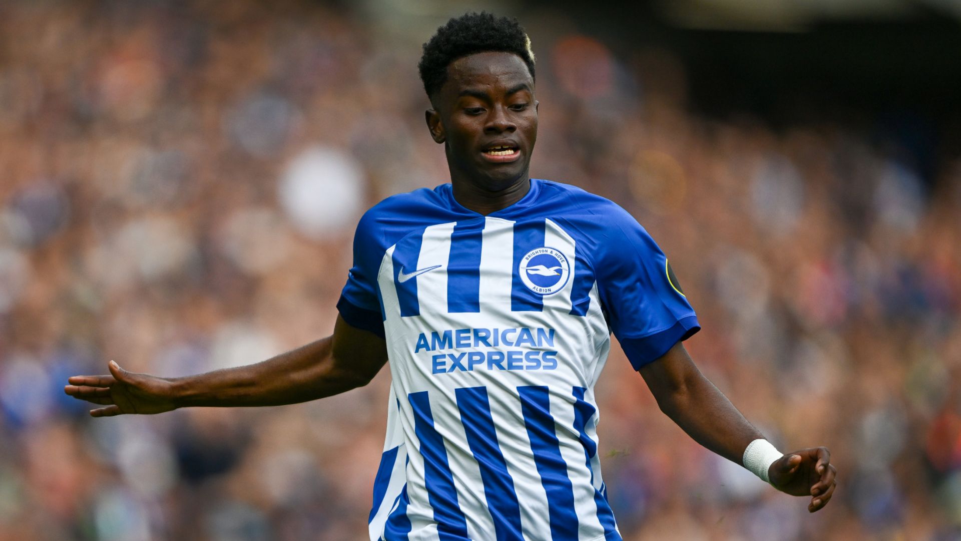 Simon Adingra Brighton 2023-24