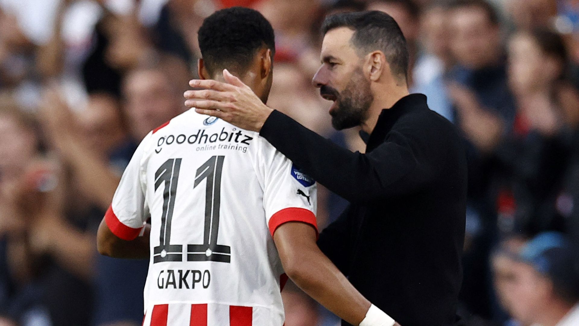 Cody Gakpo PSV 2022-23