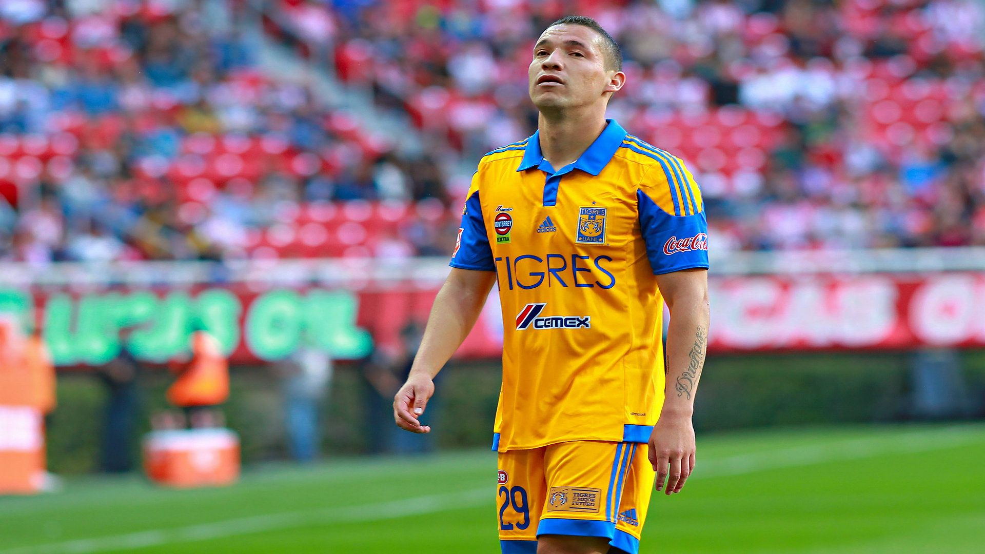 Jesús Dueñas,Tigres, J3 Liga MX, 24/01/2016