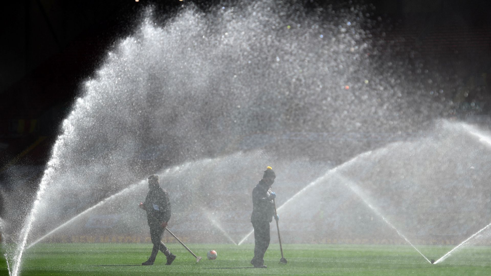 Penyemprotan Lapangan