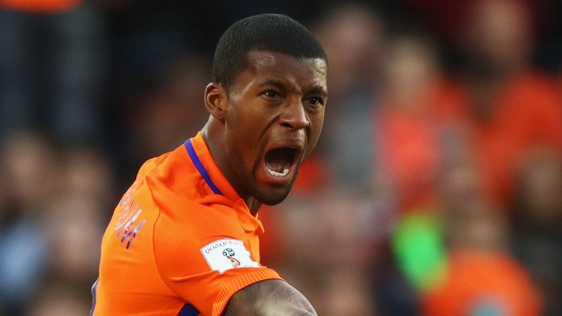 Georginio Wijnaldum Netherlands