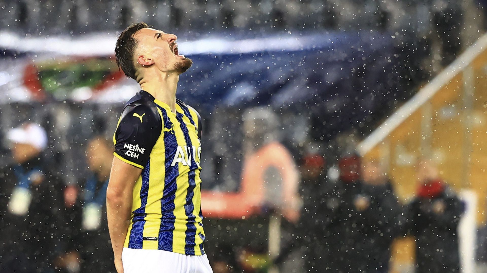 Berisha Fenerbahce