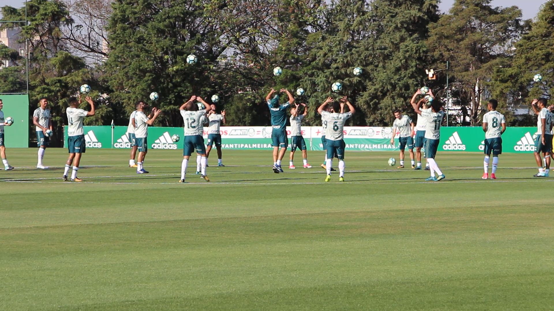 palmeiras_treino