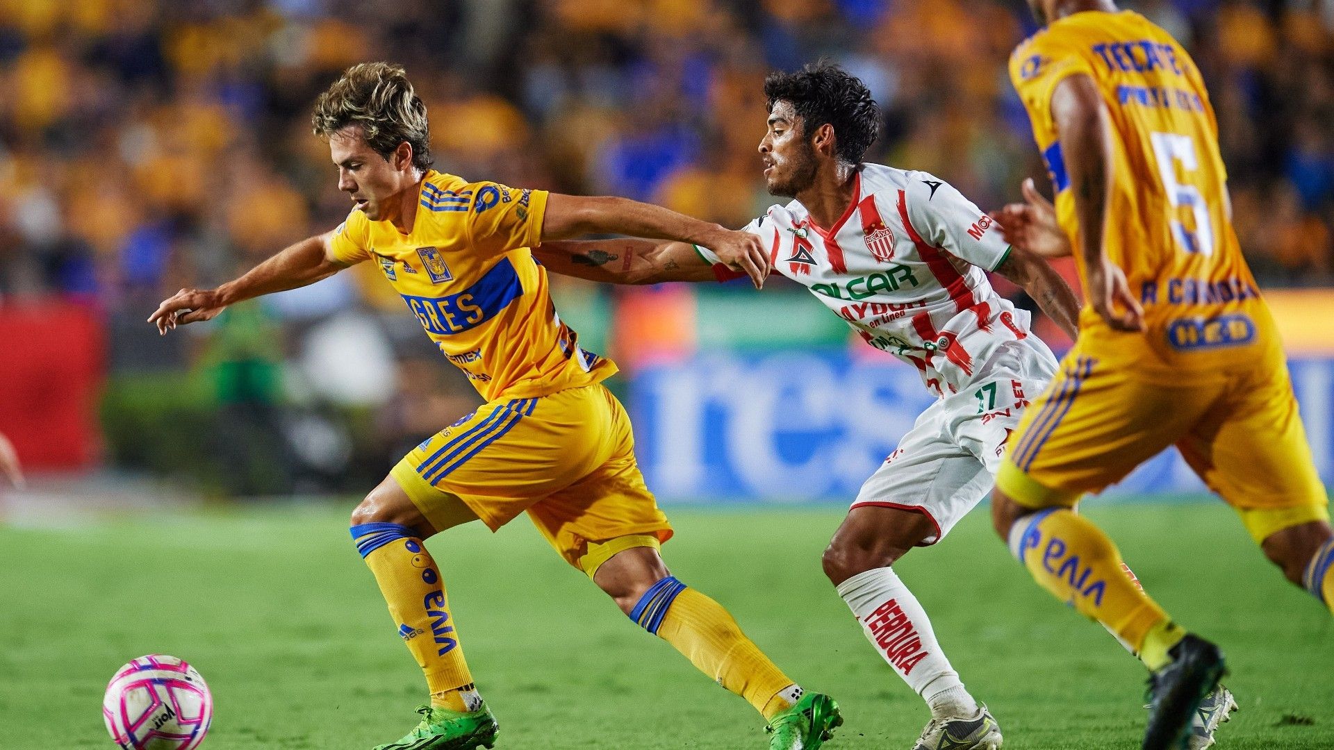 Tigres Necaxa Apertura 2022